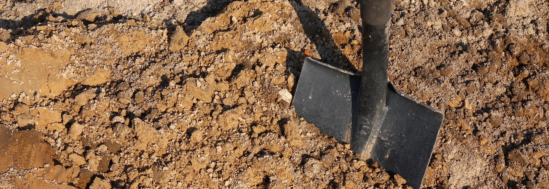 úpravy pozemku před výstavbou